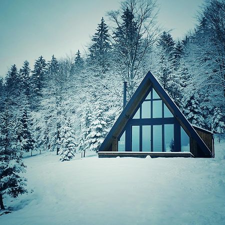 Villa Vrleti Tare Bajina Basta Exterior foto