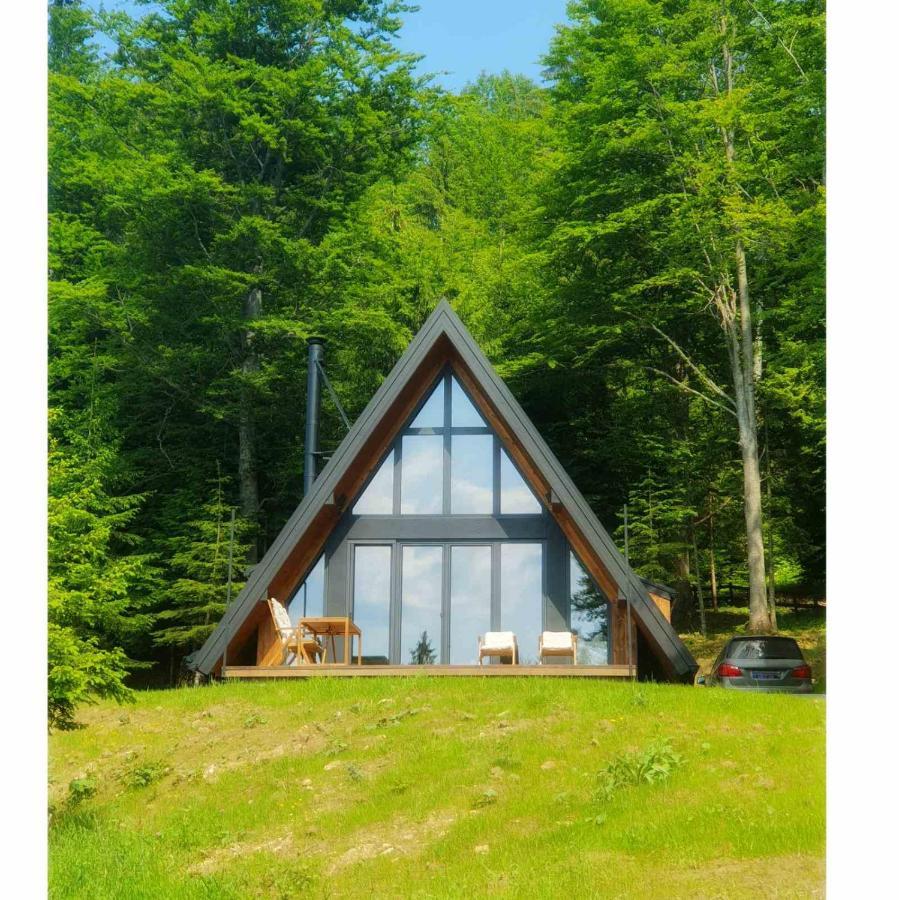 Villa Vrleti Tare Bajina Basta Exterior foto