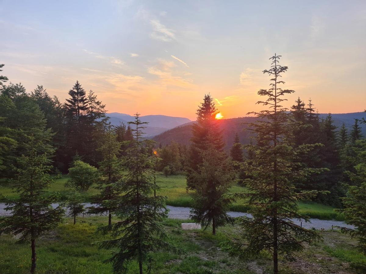 Villa Vrleti Tare Bajina Basta Exterior foto