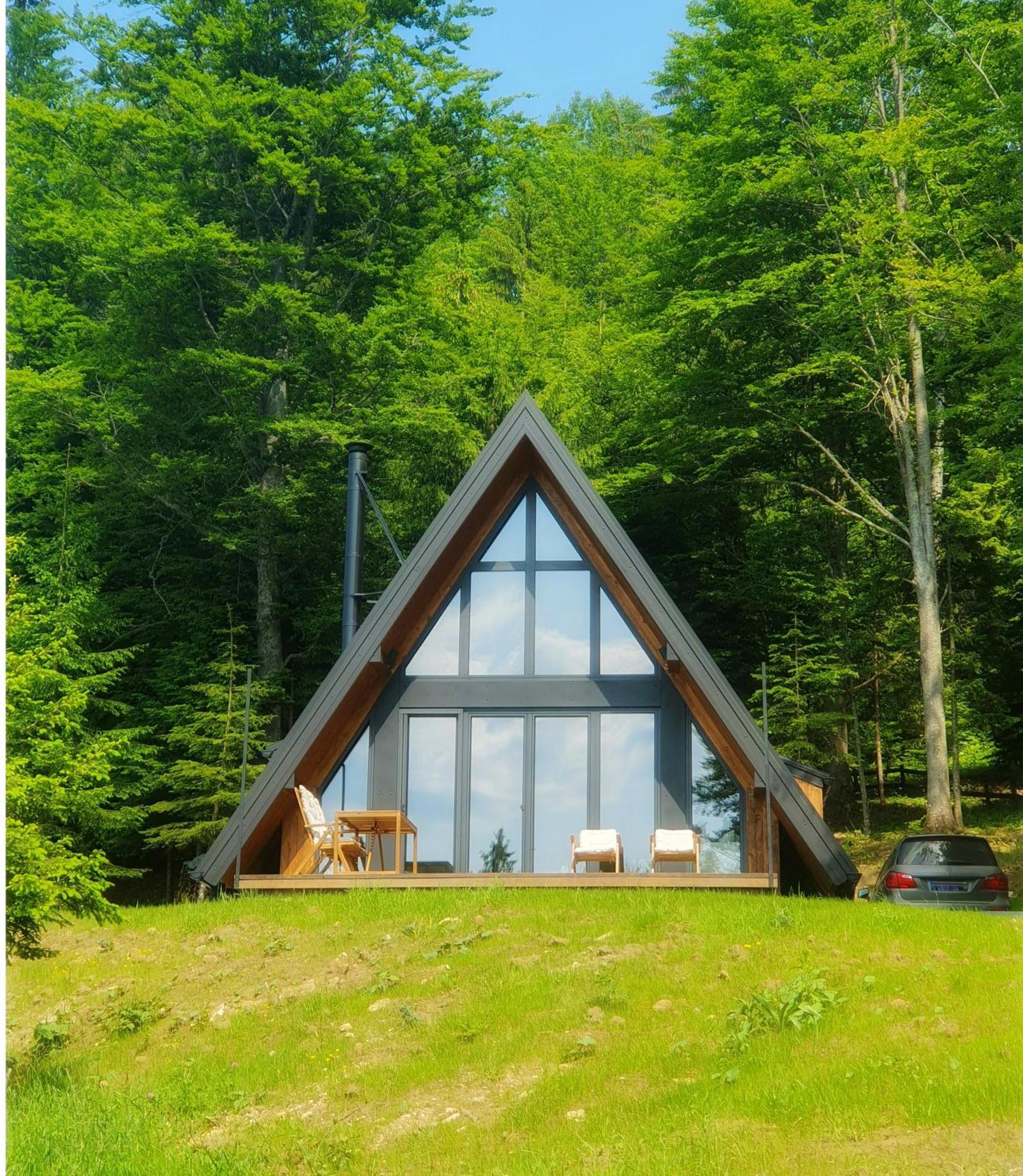 Villa Vrleti Tare Bajina Basta Exterior foto