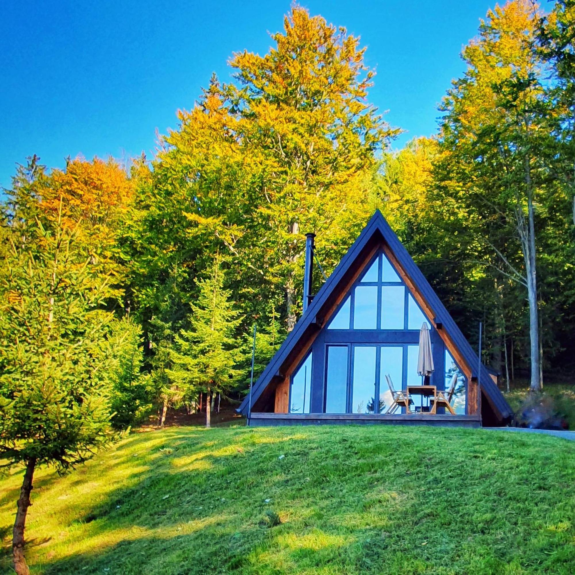 Villa Vrleti Tare Bajina Basta Exterior foto