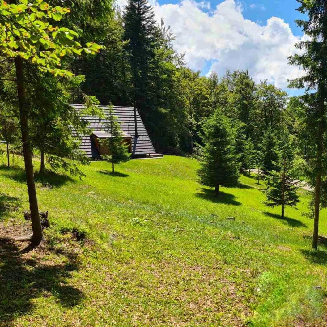 Villa Vrleti Tare Bajina Basta Exterior foto
